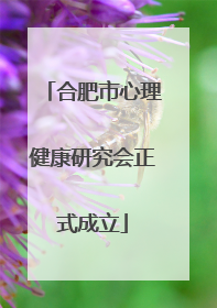 合肥市心理健康研究会正式成立